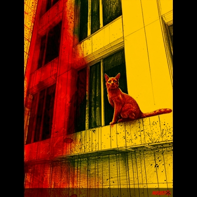 red-cat.jpg